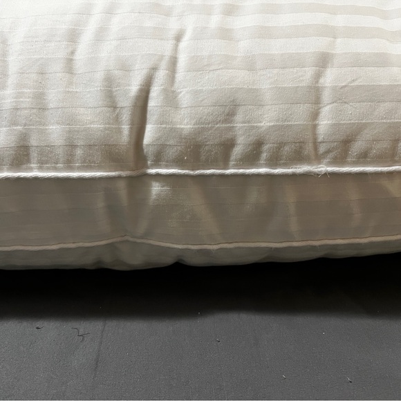 NEW! With tags Pottery Barn Classic 550 FP White Down Chamber Gusset Pillow King - Picture 8 of 10